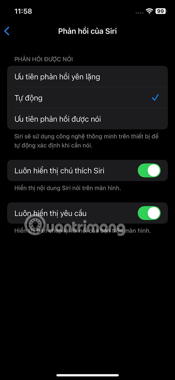 How to Use Siri Offline on iPhone Picture 6