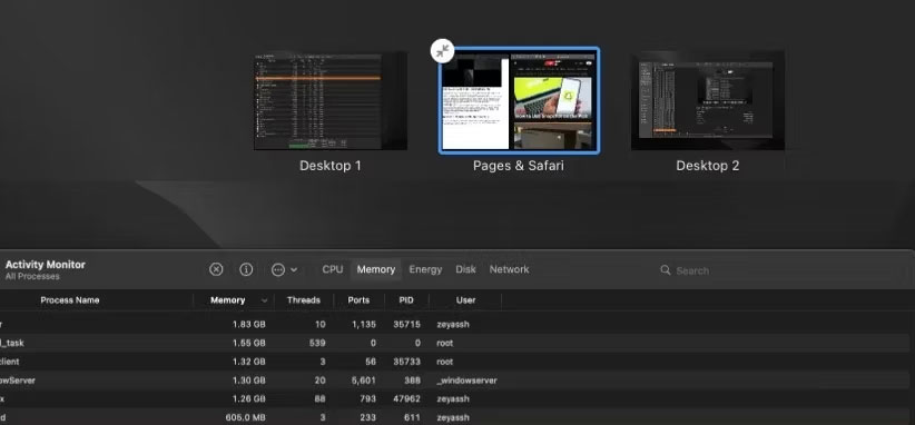 How to use split screen on Mac with Split View Picture 10