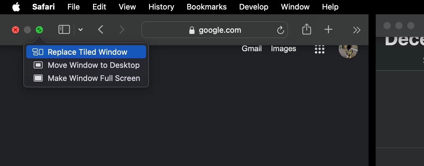 How to use split screen on Mac with Split View Picture 7