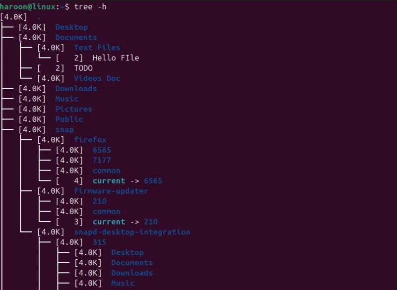 How to use Tree command to navigate file directory in Linux Picture 5