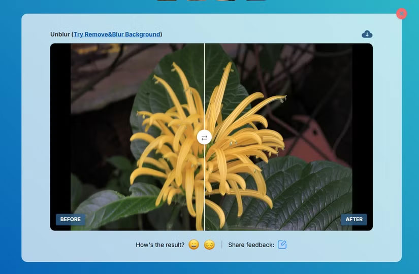 How to Use UnblurImage to Sharpen Blurry Photos Instantly Picture 2
