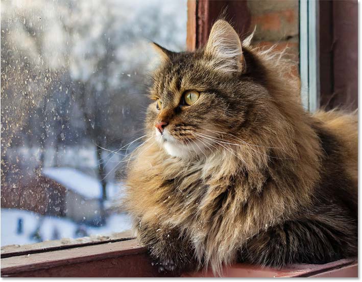 How to Use Visual Intensity in Adobe Firefly for More Detailed Images Picture 5