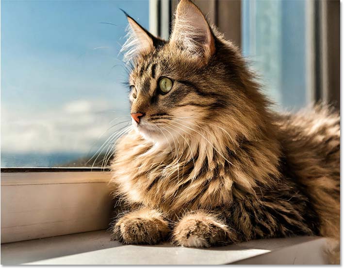 How to Use Visual Intensity in Adobe Firefly for More Detailed Images Picture 7