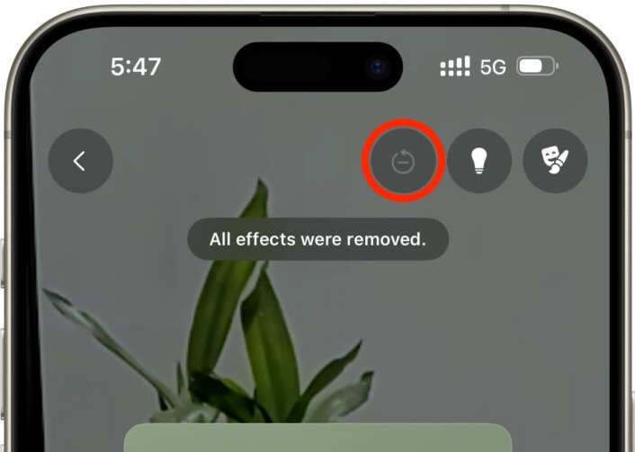 How to use WhatsApp video call effects and wallpapers Picture 4