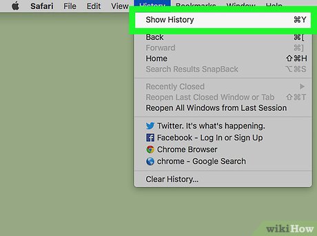 How to View Browser History on Mac Picture 3