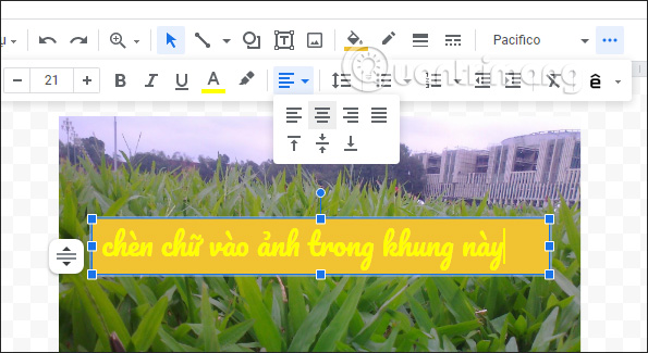 How to write text on images in Google Docs Picture 5
