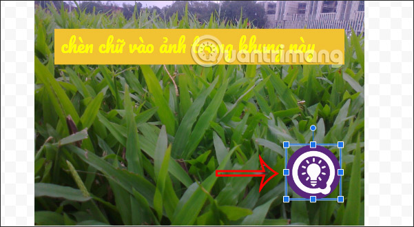 How to write text on images in Google Docs Picture 6