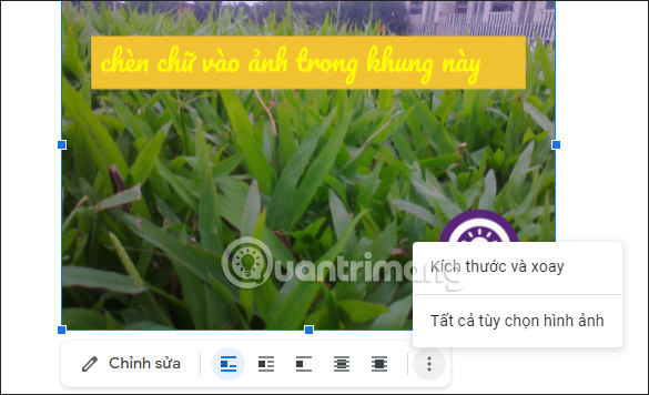 How to write text on images in Google Docs Picture 8