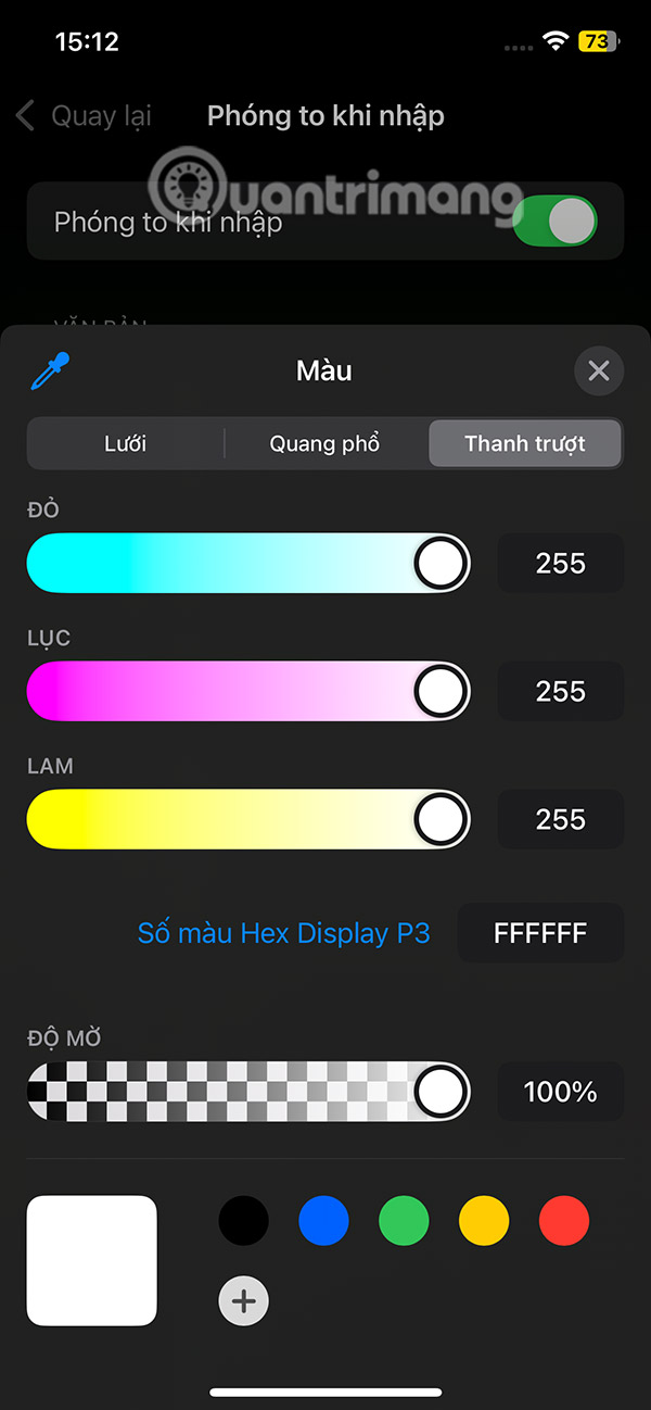 How to Zoom in on Text When Typing on iPhone Picture 12