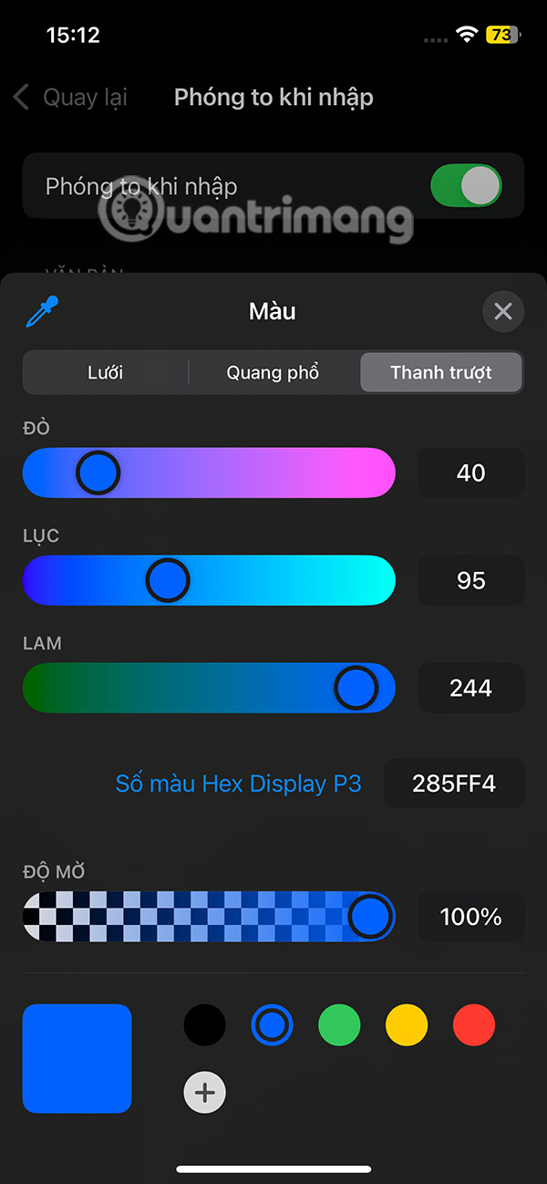 How to Zoom in on Text When Typing on iPhone Picture 13