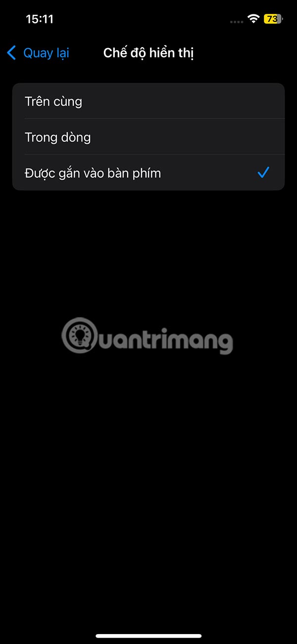 How to Zoom in on Text When Typing on iPhone Picture 7