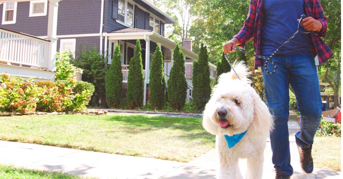 If you want to know if the neighborhood where you're planning to buy a house is right for you, do the following: Picture 1