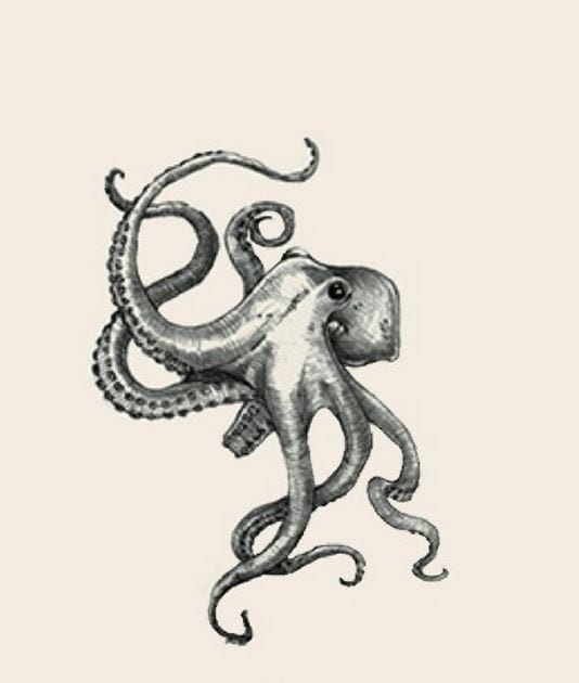 Picture 13 of Image collection for the Animal 4D+ app.