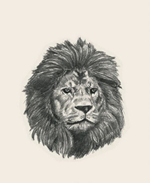 Picture 16 of Image collection for the Animal 4D+ app.