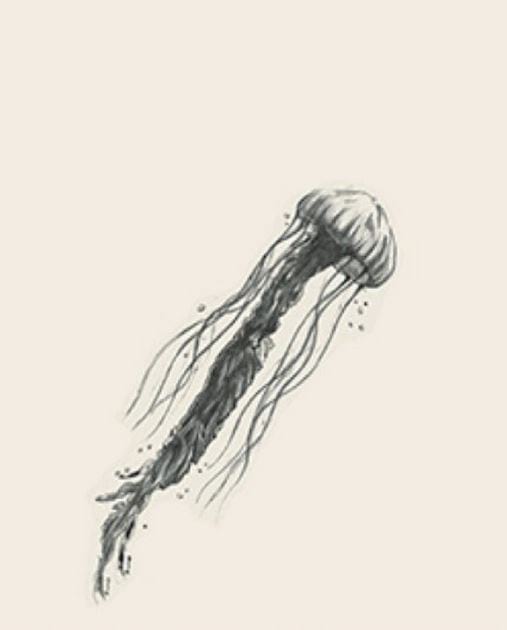 Picture 18 of Image collection for the Animal 4D+ app.