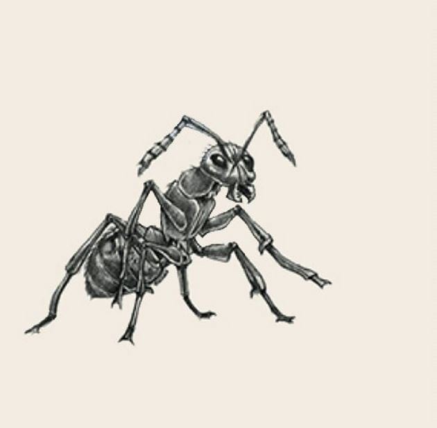 Picture 2 of Image collection for the Animal 4D+ app.