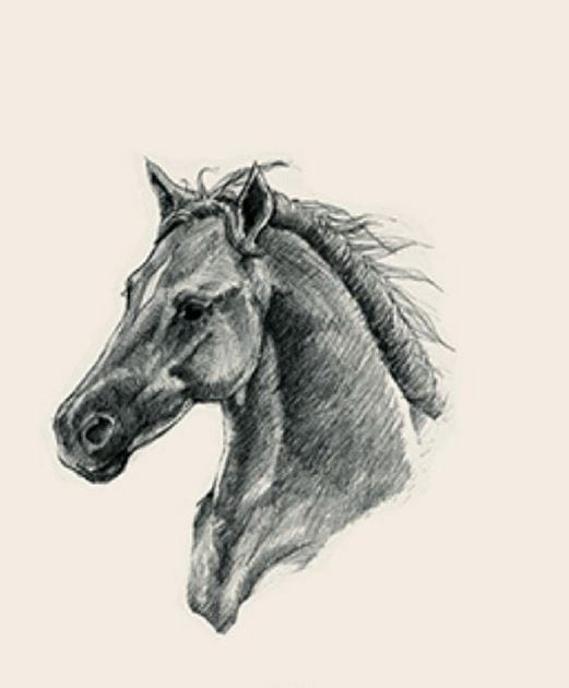 Picture 20 of Image collection for the Animal 4D+ app.