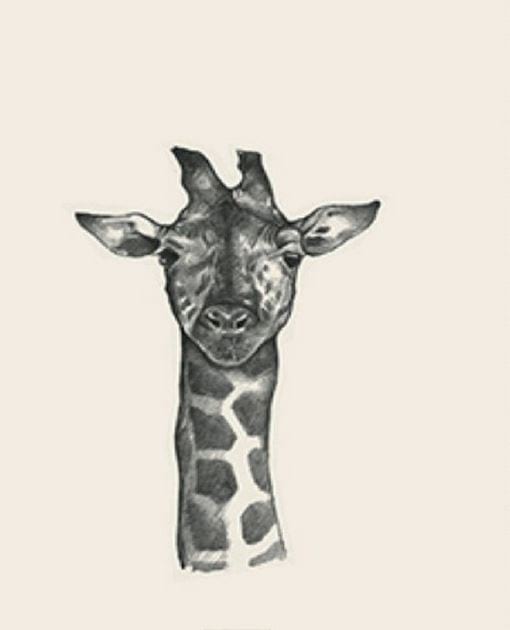 Picture 21 of Image collection for the Animal 4D+ app.