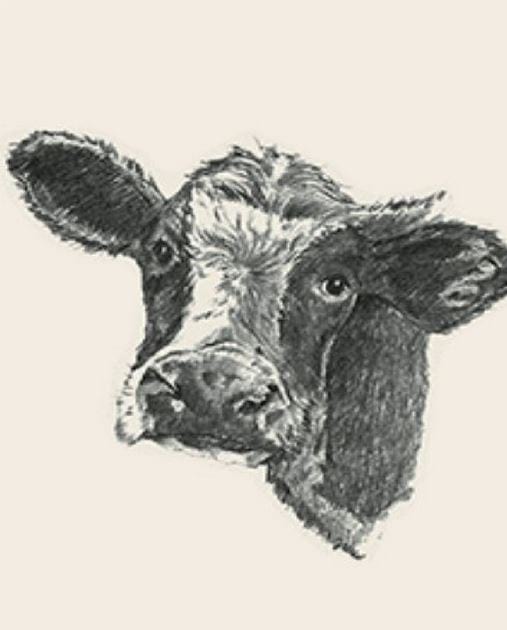 Picture 25 of Image collection for the Animal 4D+ app.