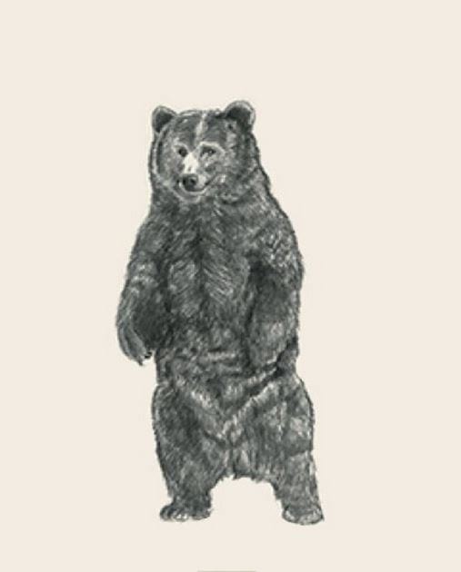 Picture 26 of Image collection for the Animal 4D+ app.