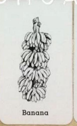 Picture 28 of Image collection for the Animal 4D+ app.