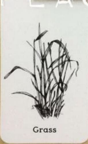 Picture 29 of Image collection for the Animal 4D+ app.