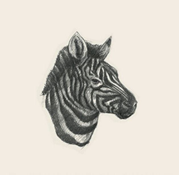 Picture 3 of Image collection for the Animal 4D+ app.