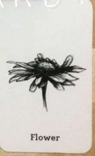 Picture 30 of Image collection for the Animal 4D+ app.