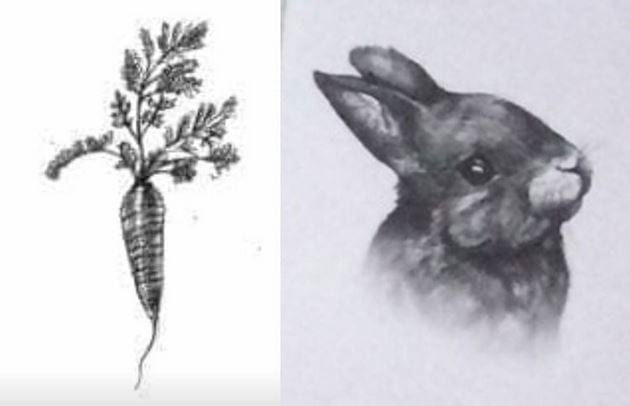 Picture 31 of Image collection for the Animal 4D+ app.