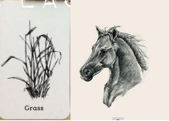 Picture 32 of Image collection for the Animal 4D+ app.