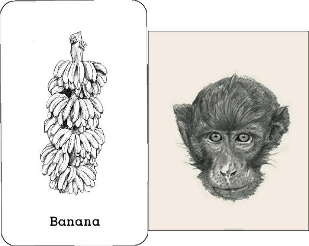 Picture 34 of Image collection for the Animal 4D+ app.