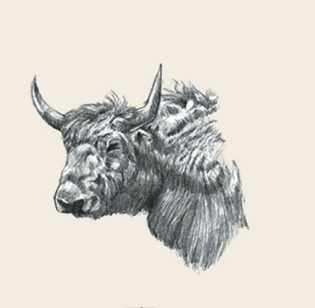 Picture 4 of Image collection for the Animal 4D+ app.