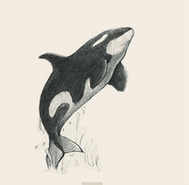 Picture 6 of Image collection for the Animal 4D+ app.