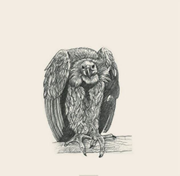 Picture 7 of Image collection for the Animal 4D+ app.