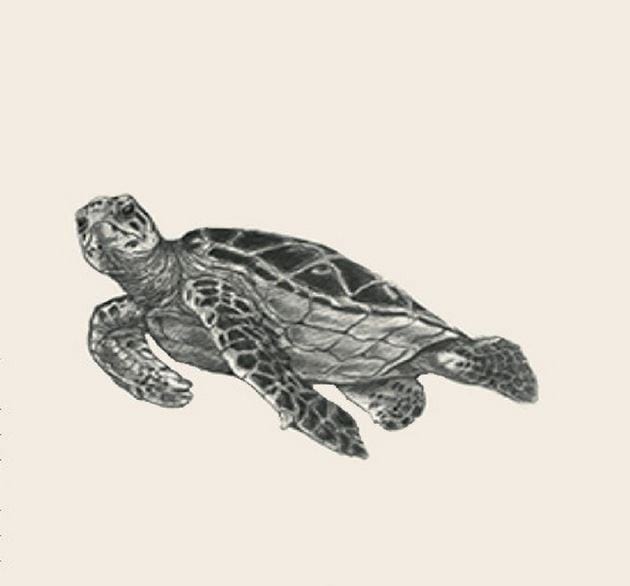 Picture 9 of Image collection for the Animal 4D+ app.