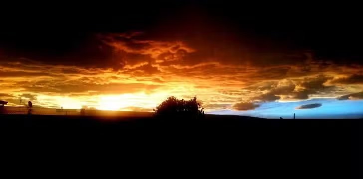 Impressive but little-known facts about Halloween Picture 2