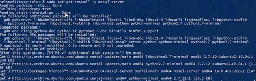 Picture 1 of Installing Microsoft SQL Server on Ubuntu