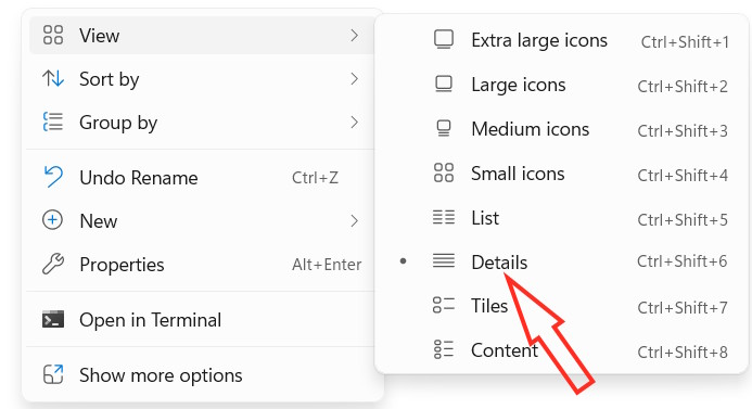 How to add and remove columns in Windows File Explorer Picture 1
