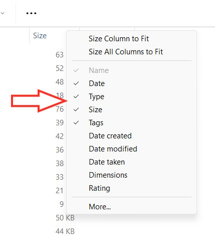 How to add and remove columns in Windows File Explorer Picture 2