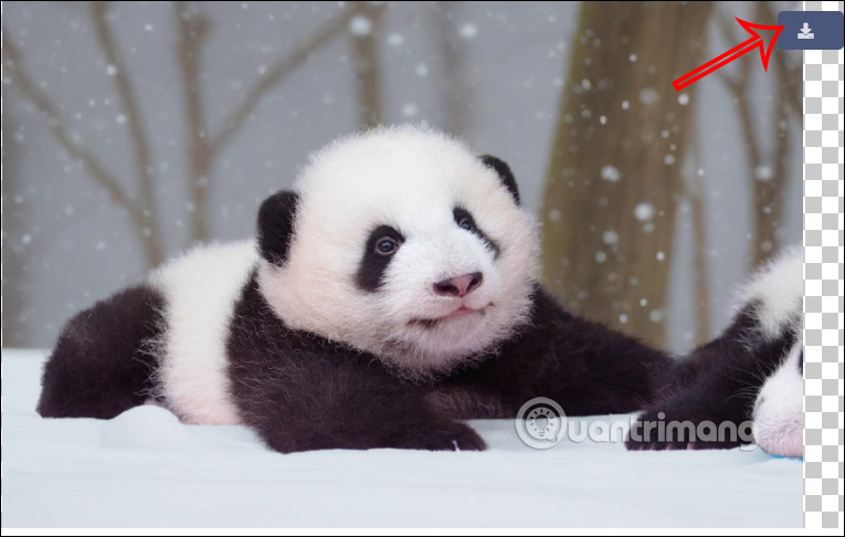 Instructions for changing AI photo background online Picture 5