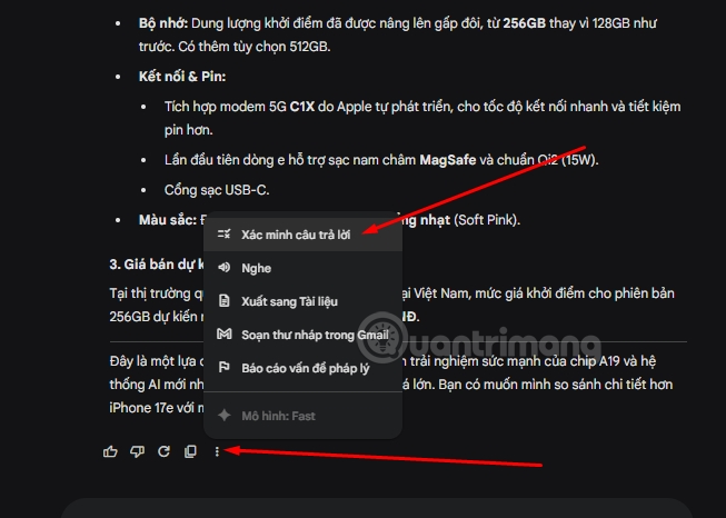 Instructions for checking Gemini's answers Picture 2