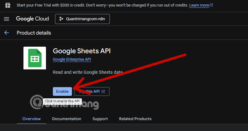 Instructions for creating a Client ID and Client Secret in Google Sheets Picture 7