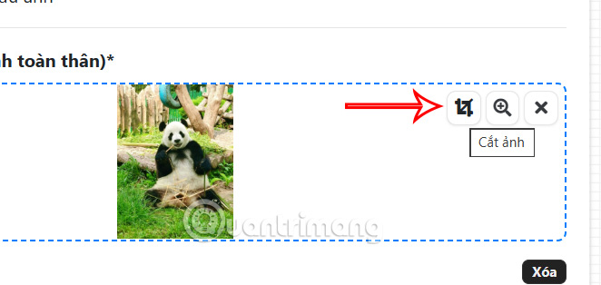 How to create an AI image of yourself looking at a museum painting Picture 2