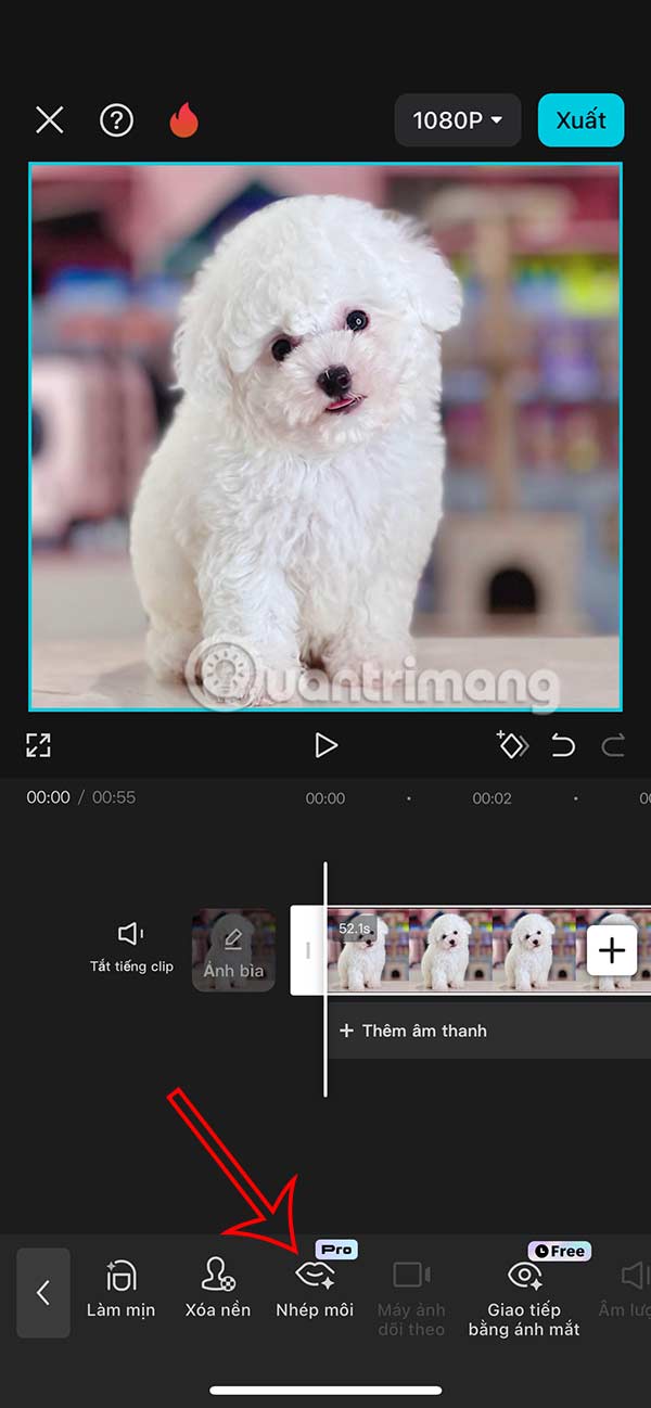 Instructions for creating lip-syncing animal videos on CapCut Picture 6