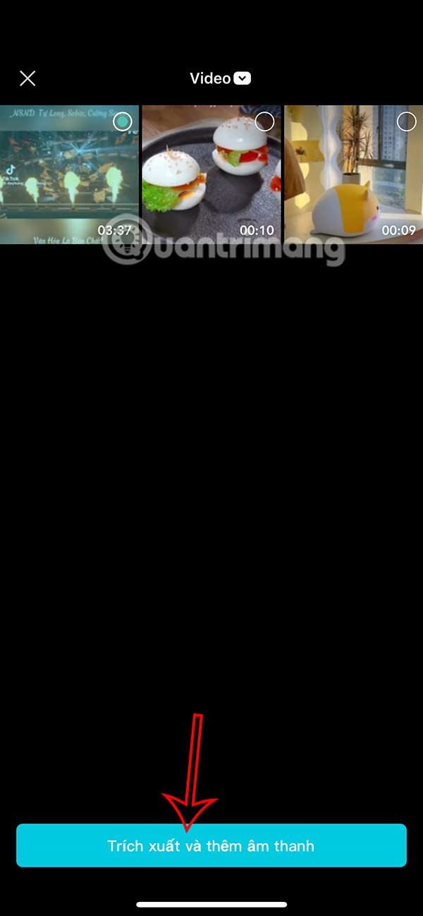 Instructions for creating lip-syncing animal videos on CapCut Picture 9