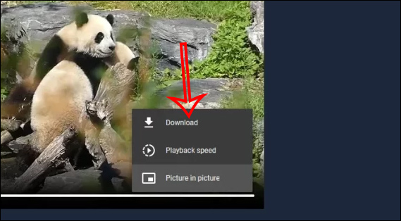 Instructions for creating short videos using AI on ClipPanda Picture 5