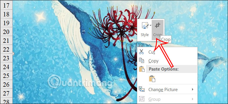 Instructions for cropping images in Excel are very simple Picture 2