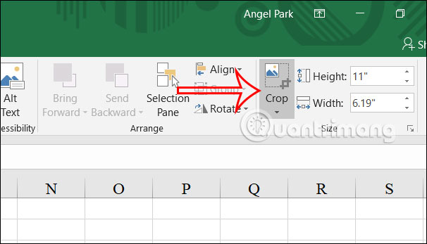 Instructions for cropping images in Excel are very simple Picture 3