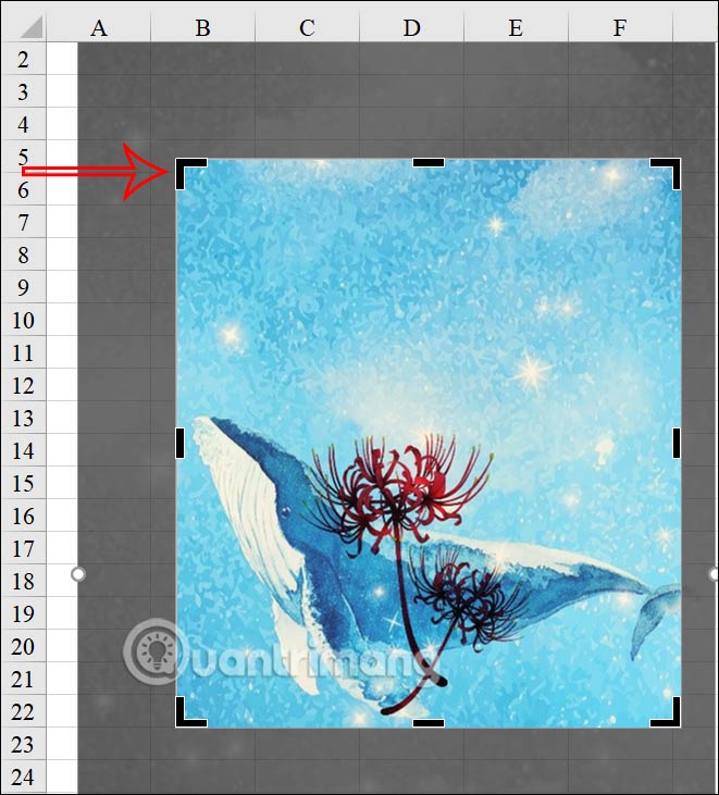 Instructions for cropping images in Excel are very simple Picture 4