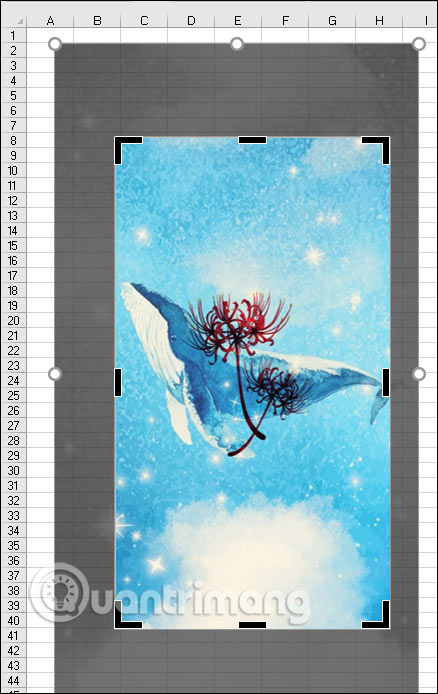 Instructions for cropping images in Excel are very simple Picture 5